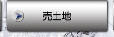 売土地