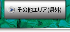 その他エリア(県外)